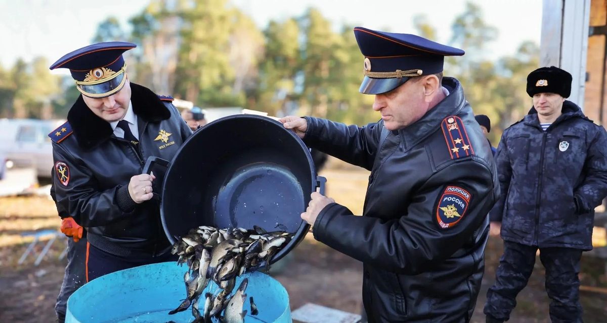 В Шершневское водохранилище выпустили 500 тысяч мальков сазана за ущерб от промышленников