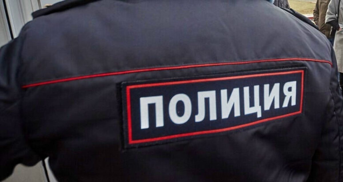 В Смолинском лесничестве вырубили 46 берёз, ущерб составил почти 1,9 млн рублей